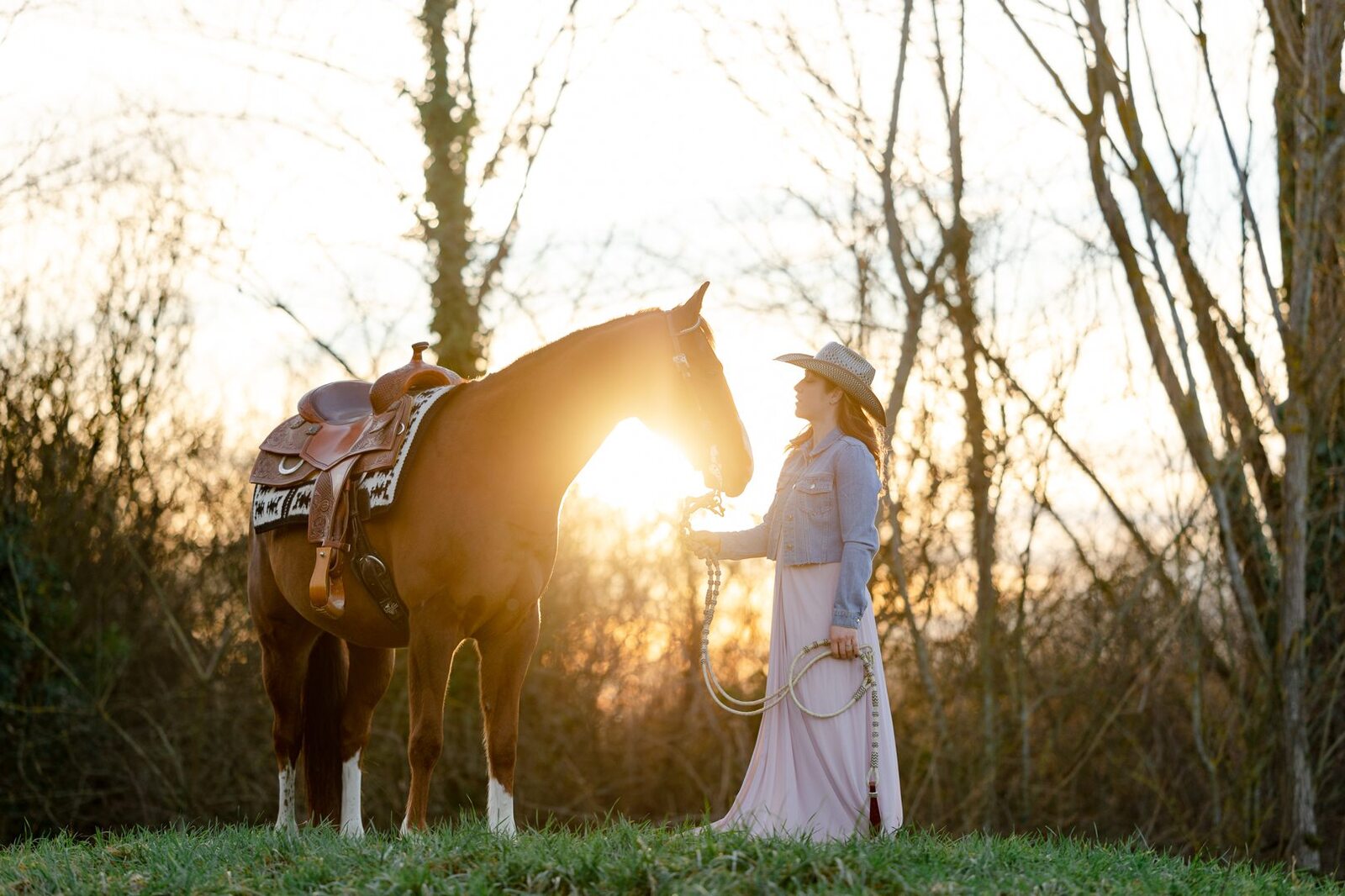 portraits de chevaux photographe équin équestre claire taylor à Genève et Annecy en France et en suisse black Hoof photography