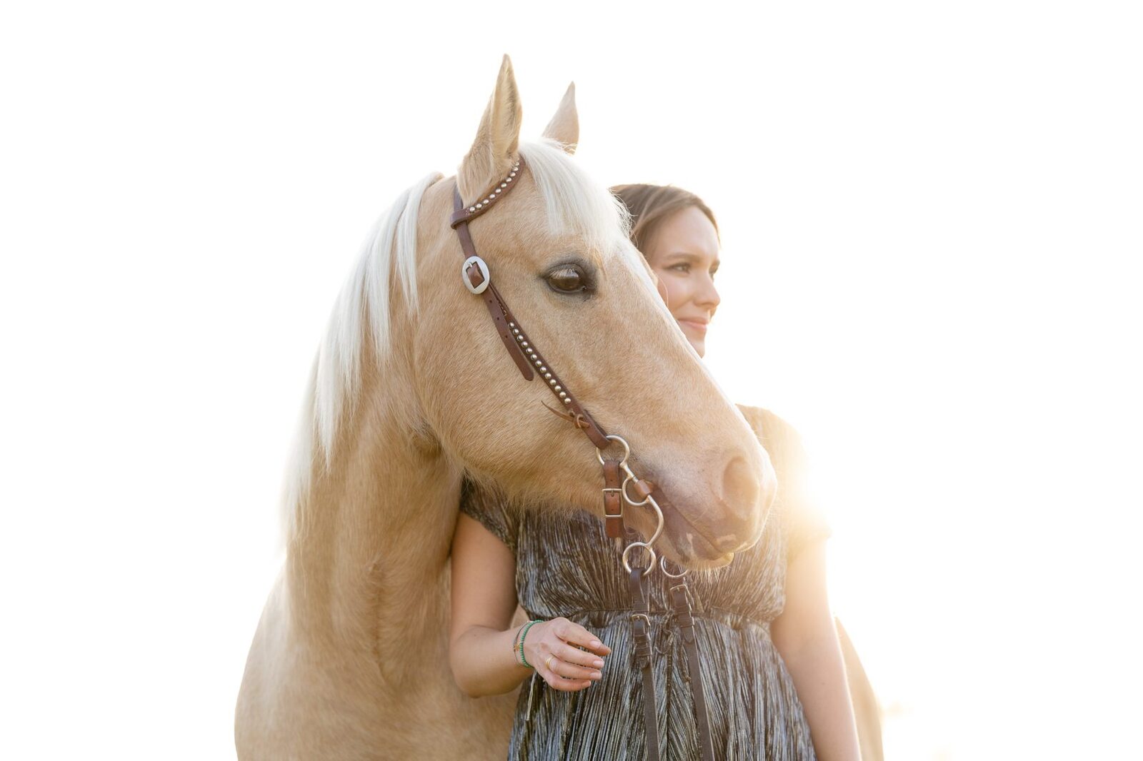 portraits de chevaux photographe équin équestre claire taylor à Genève et Annecy en France et en suisse black Hoof photography